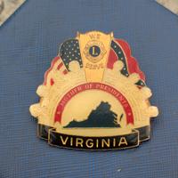 spilla pin distintivo Lions vintage 