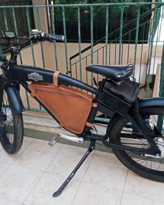 Bicicletta pedalata assistita