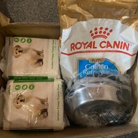 Accessori cucciolo cane