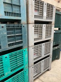 Bins, cassoni in plastica come nuovi per olive ecc