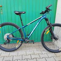 bicicletta mountain bike 