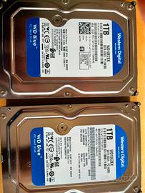 Coppia di HDD SATA 3.5" da  1 TB WDIGITAL