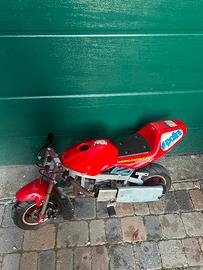 Minimoto cinese