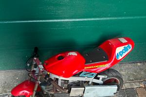 Minimoto cinese