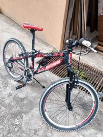 biciclette