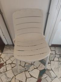 Sedie in plastica dura 