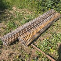  rotoli frangivento in canna. 