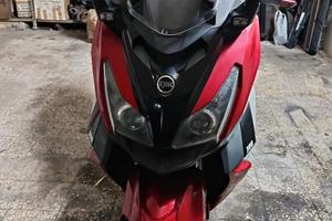 tagliandato e perfetto 