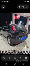 punto evo