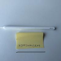 Apple Pencil 2ª generazione originale