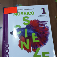 Mosaico scienze 1