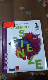 Mosaico scienze 1