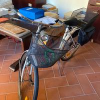 Bicicletta inglese vintage