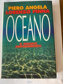 Oceano , il gigante addormentato