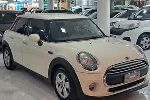 Mini 1.5 One D