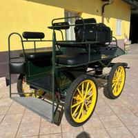 Carrozza Marathon (12)