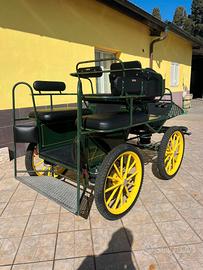 Carrozza Marathon (12)
