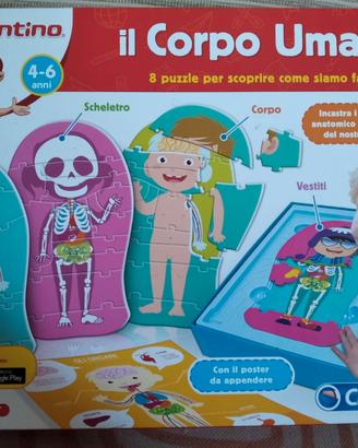 Il corpo umano Sapientino
