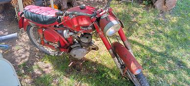 Benelli leoncino 12 depoca
