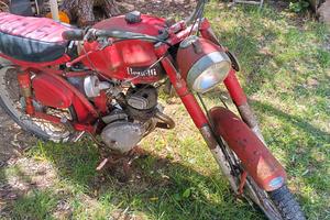 Benelli leoncino 12 depoca