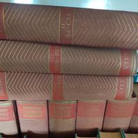 Novissimo  digesto italiano UTET