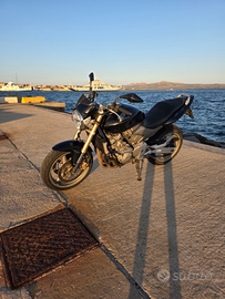 Honda Hornet 600