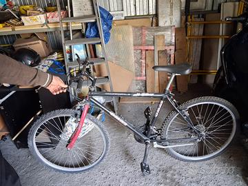 Bicicletta