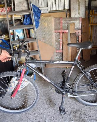 Bicicletta