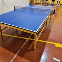 tavolo ping pong