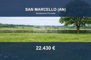 Immobile in asta di 24595 m² a San Marcello