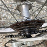 MTB alpina da bambino - 24 pollici