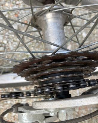 MTB alpina da bambino - 24 pollici