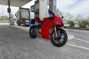 Ducati Panigale v4s 2025