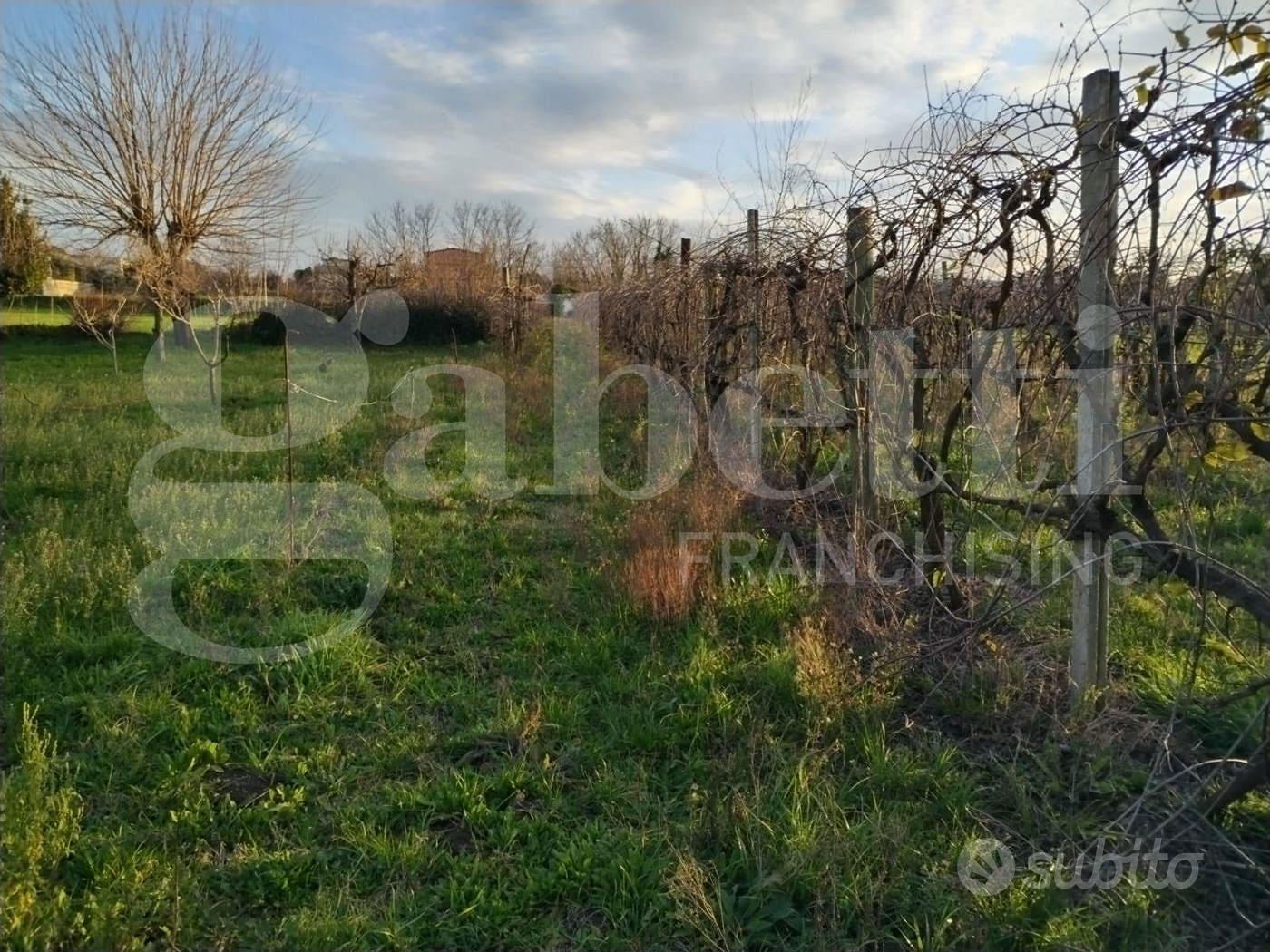 Terreno Agricolo Sant'Antimo [Cod. rif 3213982VRG] - Altro