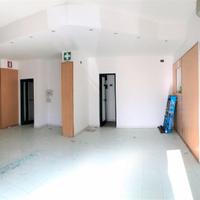Locale commerciale Livorno Fabbricotti