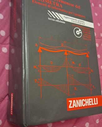 Manuale Cremonese del Geometra