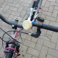 MTB 20 pollici 