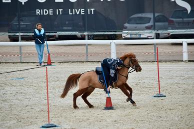 Pony per pony games
