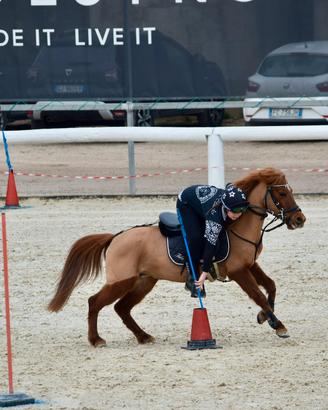 Pony per pony games