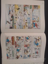 Fumetto zio paperone