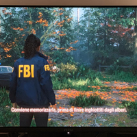 MSI MAG 322UP QD-OLED E16 MONITOR, 31,5 ", UHD 4K