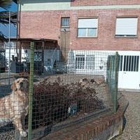 Appartamento 150 m2 in trifamiliare