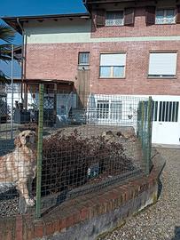 Appartamento 150 m2 in trifamiliare