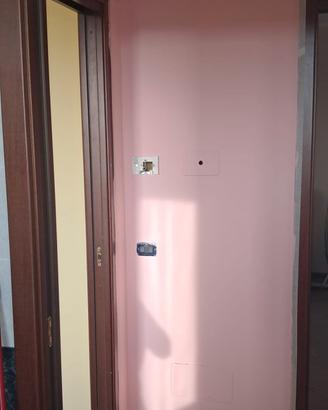 Pittura Super Lavabile 