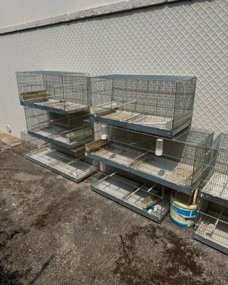 Gabbie modulari per uccelli