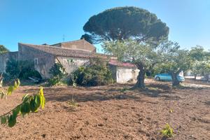 Grande casolare rurale da ristrutturare più ulivet