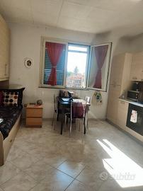 Grottaferrata monolocale con terrazzo