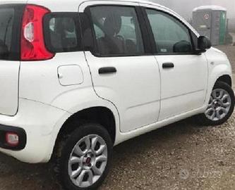 Fiat Panda ammortizzatori montanti bracci
