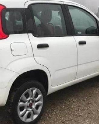 Fiat Panda ammortizzatori montanti bracci