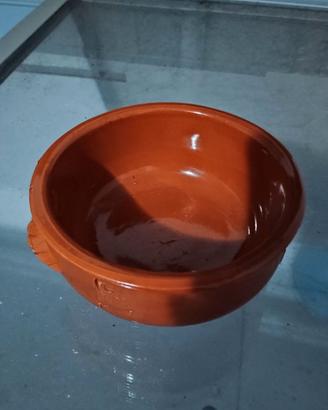 Cocot nuove